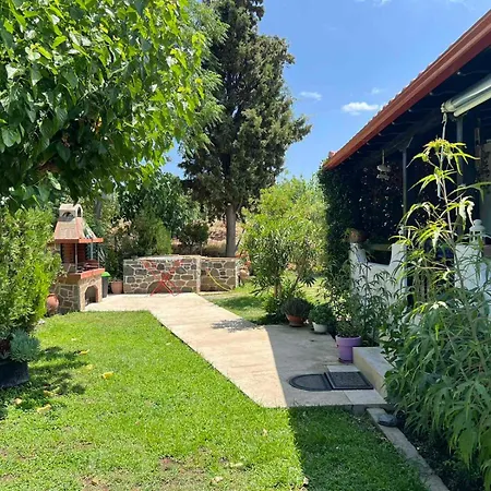 Apartment Sias Cozy House Sykia Chalkidikis