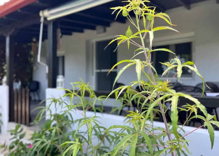Sias Cozy House 公寓